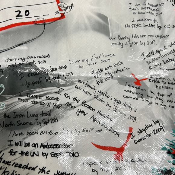 Lot of 3 Lululemon Athletica Reusable Shopping Bags Small White, VTG 2009, Red - Picture 13 of 14